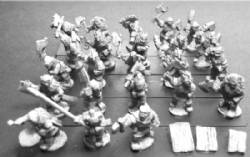 Orc Axemen with Shields